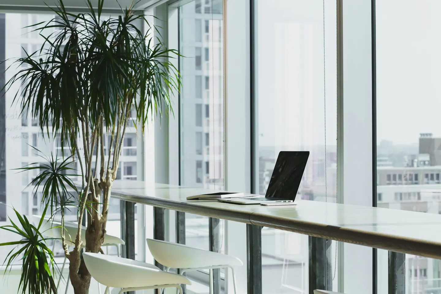 MSc Global Business